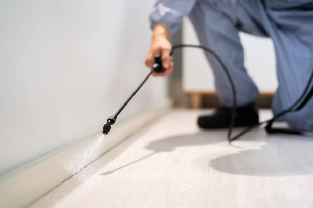 Licensed Pest Control service in Chanhassen, MN - Show Me Pest Control