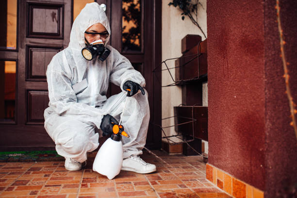 Reliable Wasp Removal contractor in Chanhassen, MN by Show Me Pest Control